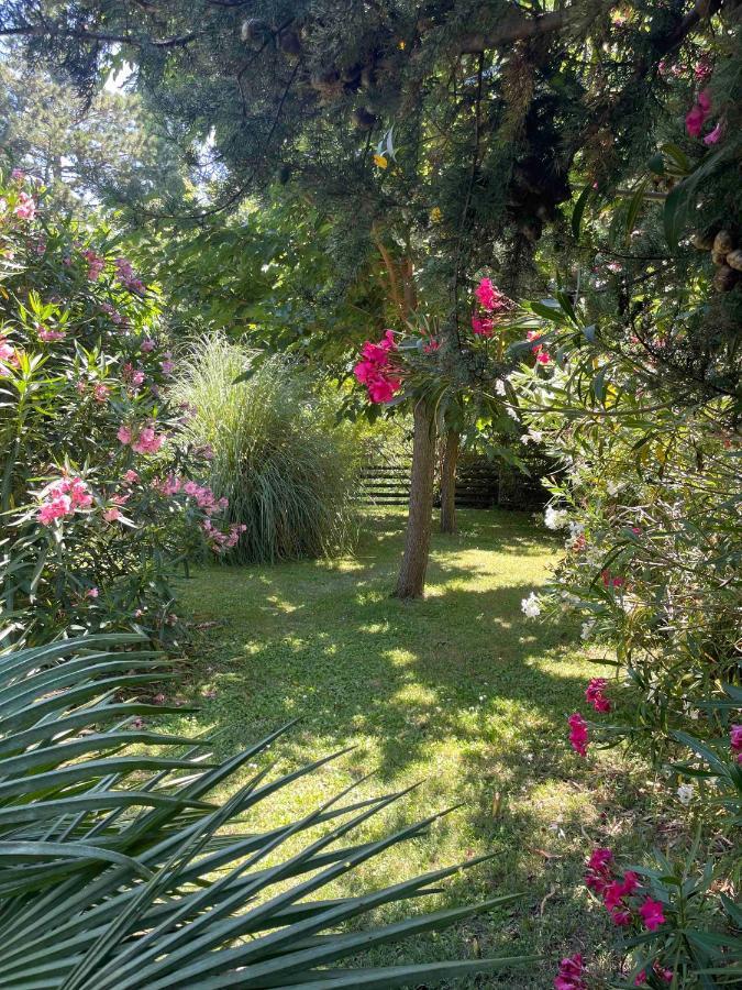 Gites Au Chateau Des Estubiers Les Granges-Gontardes ภายนอก รูปภาพ