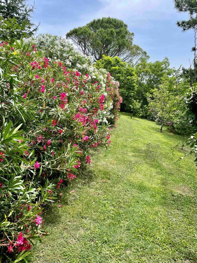 Gites Au Chateau Des Estubiers Les Granges-Gontardes ภายนอก รูปภาพ